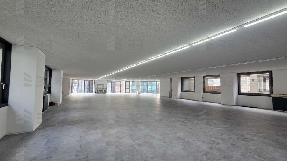 서울 강남구 신사동 33 사진O 대로변 압구정역 단독테라스 대형사무실 월세 매물번호 10684 사진 12